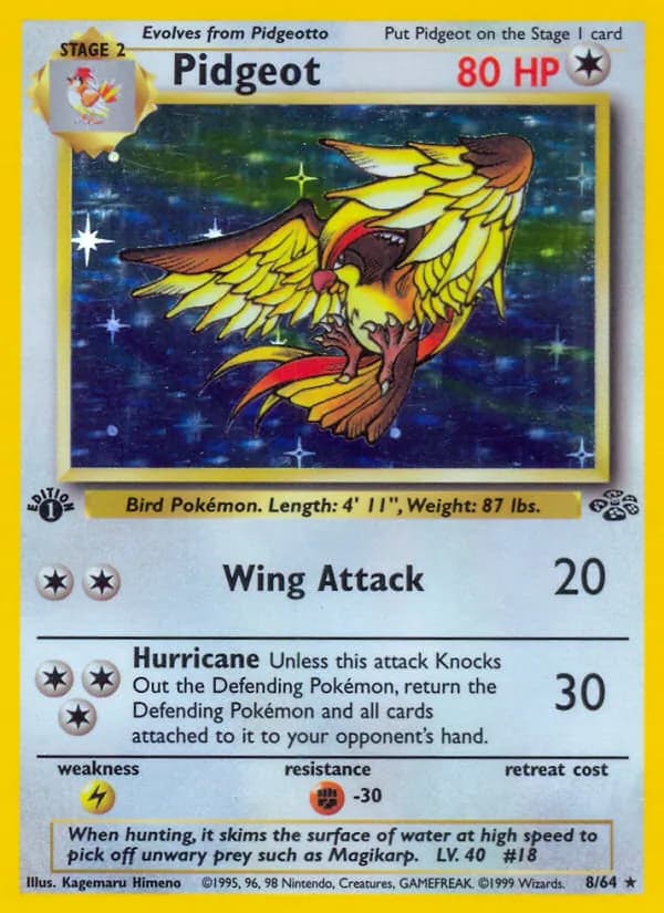 Pidgeot 8/64, Jungle