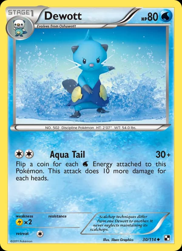 Dewott 30/114, Black & White