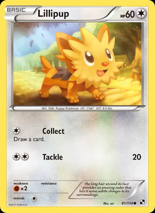 Lillipup 81/114, Black & White