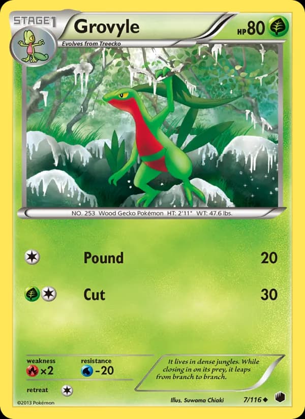 Grovyle 7/116, Plasma Freeze
