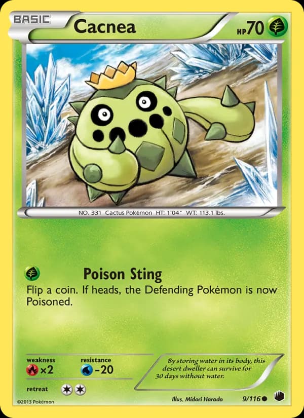 Cacnea 9/116, Plasma Freeze