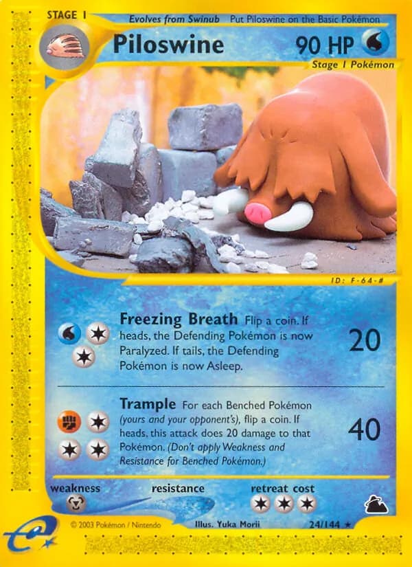 Piloswine 24/144, Skyridge