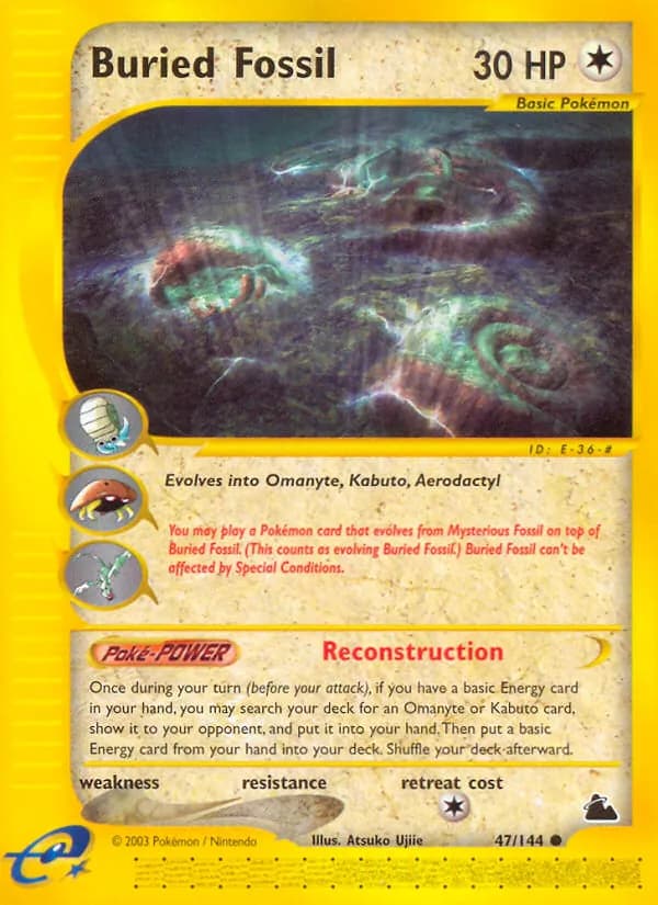 Buried Fossil 47/144, Skyridge