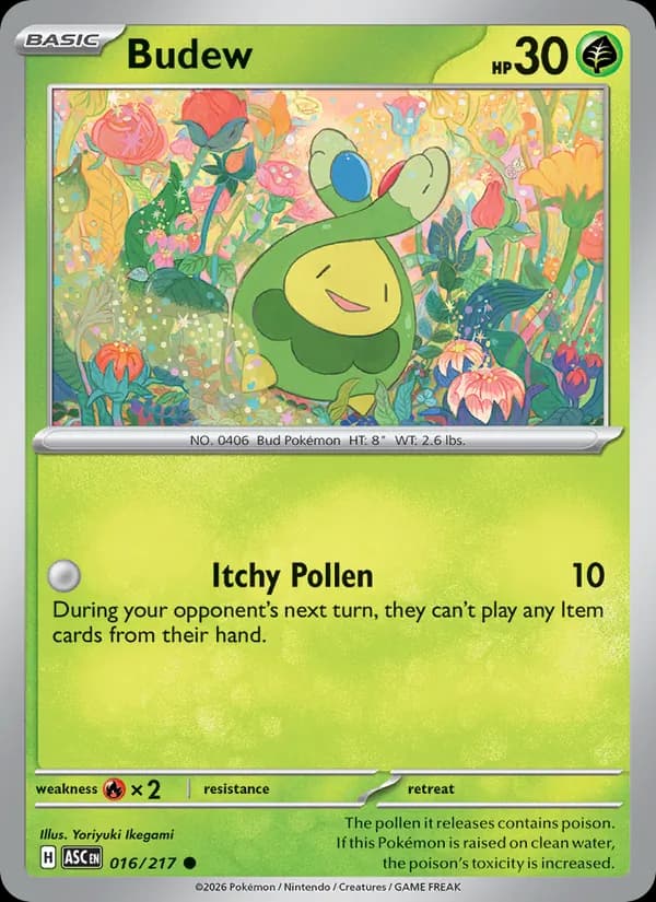 Budew 016/217, Ascended Heroes