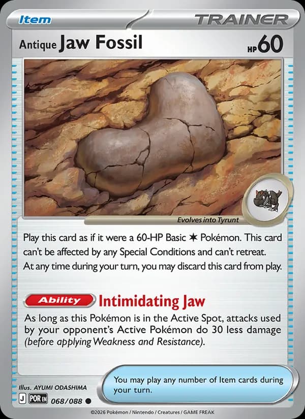 Antique Jaw Fossil 068/88, Perfect Order