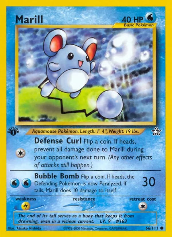 Marill 66/111, Neo Genesis