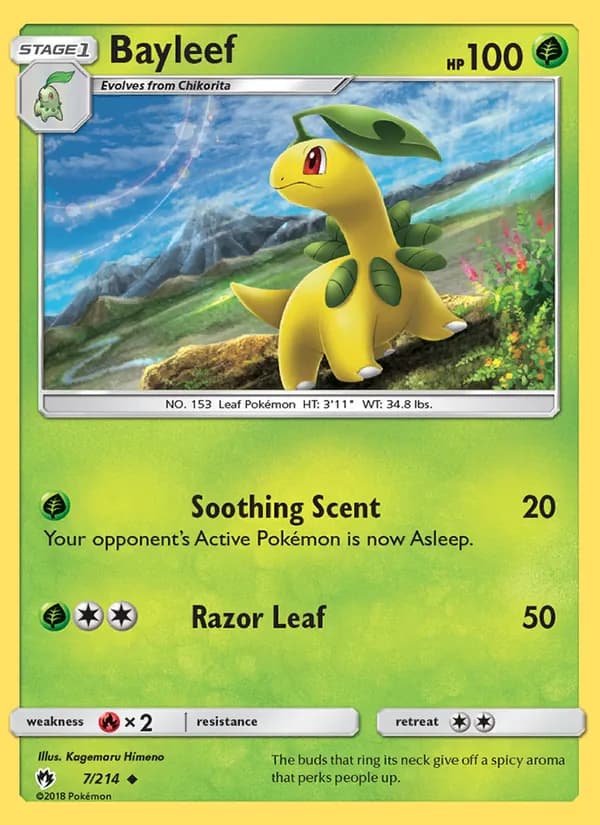 Bayleef 7/214, Lost Thunder