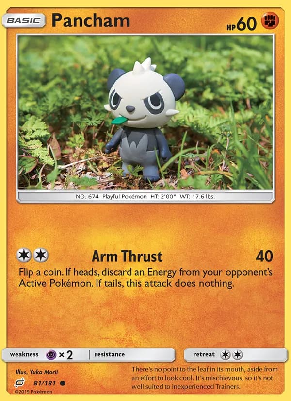 Pancham 81/181, Team Up