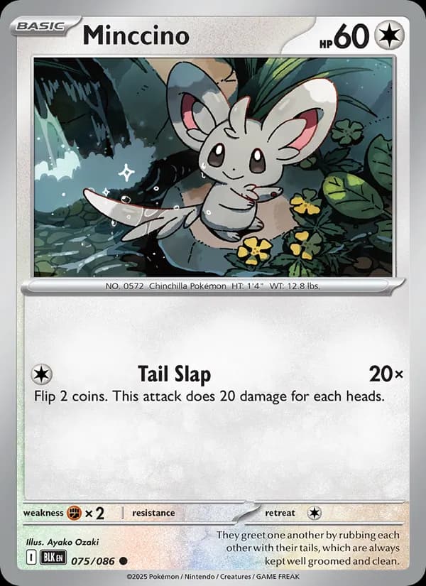 Minccino 075/86, Black Bolt