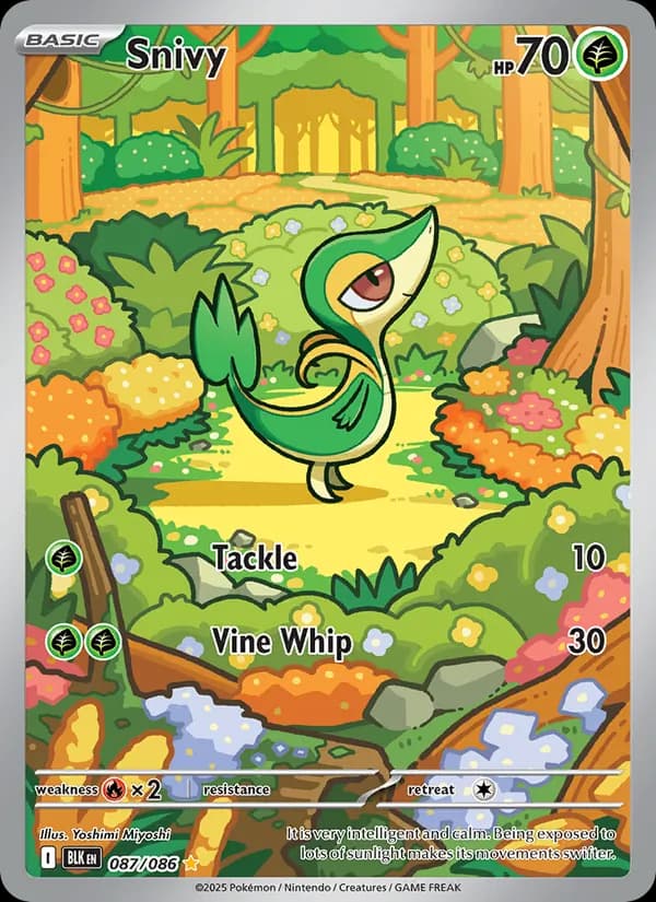 Snivy 087/86, Black Bolt