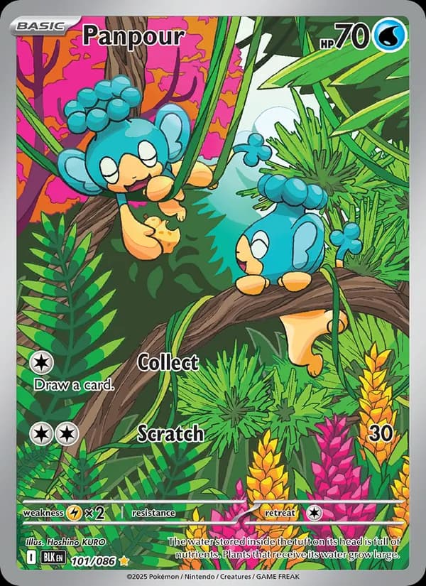 Panpour 101/86, Black Bolt