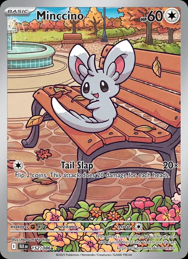 Minccino 152/86, Black Bolt