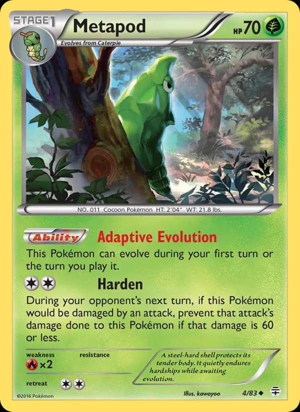 Metapod 4/83, Generations