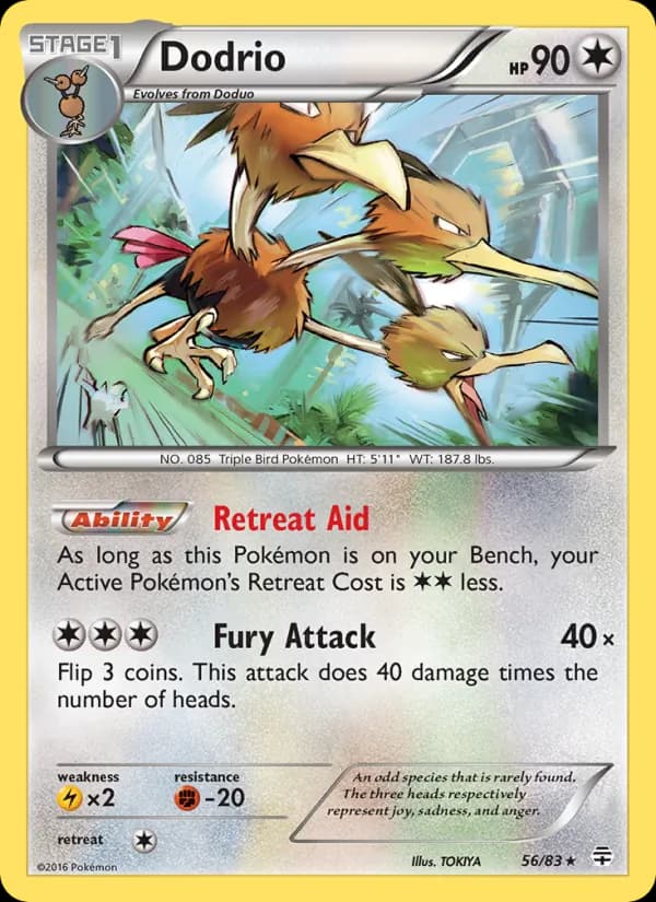 Dodrio 56/83, Generations