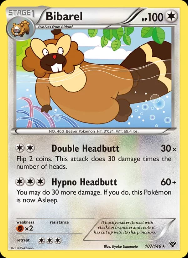 Bibarel 107/146, XY