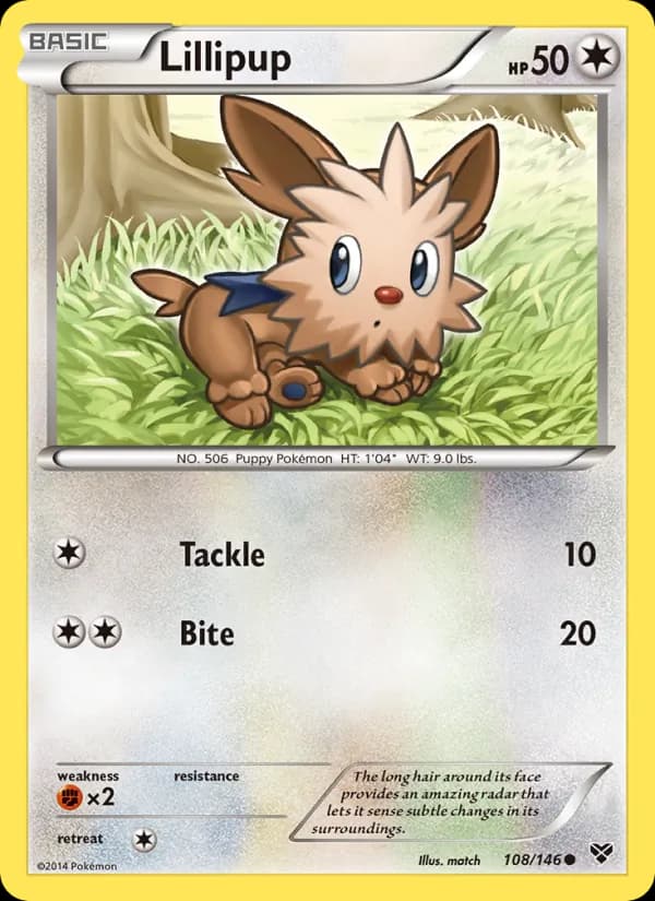 Lillipup 108/146, XY