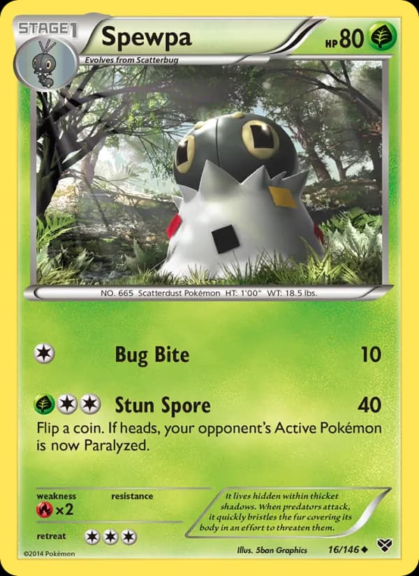 Spewpa 16/146, XY
