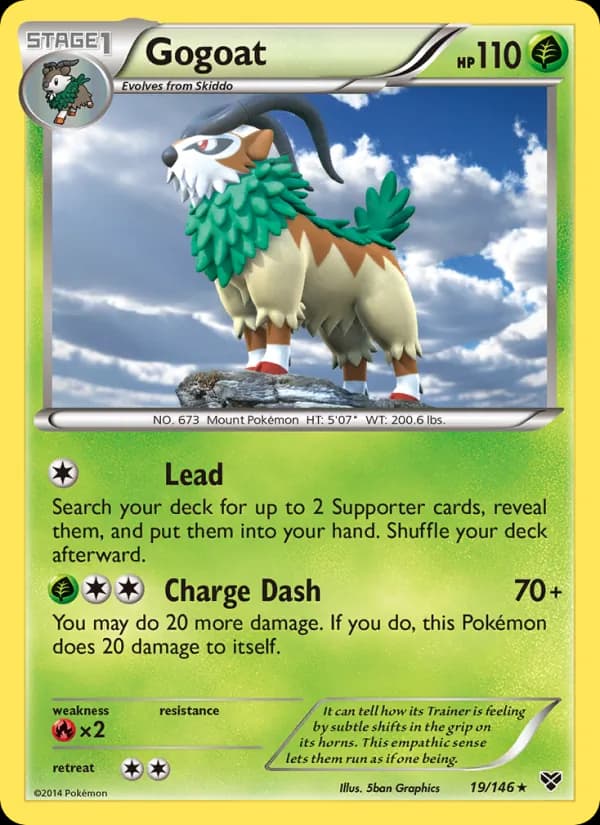 Gogoat 19/146, XY