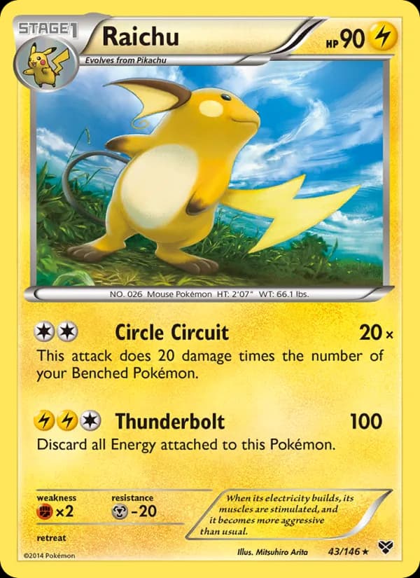 Raichu 43/146, XY