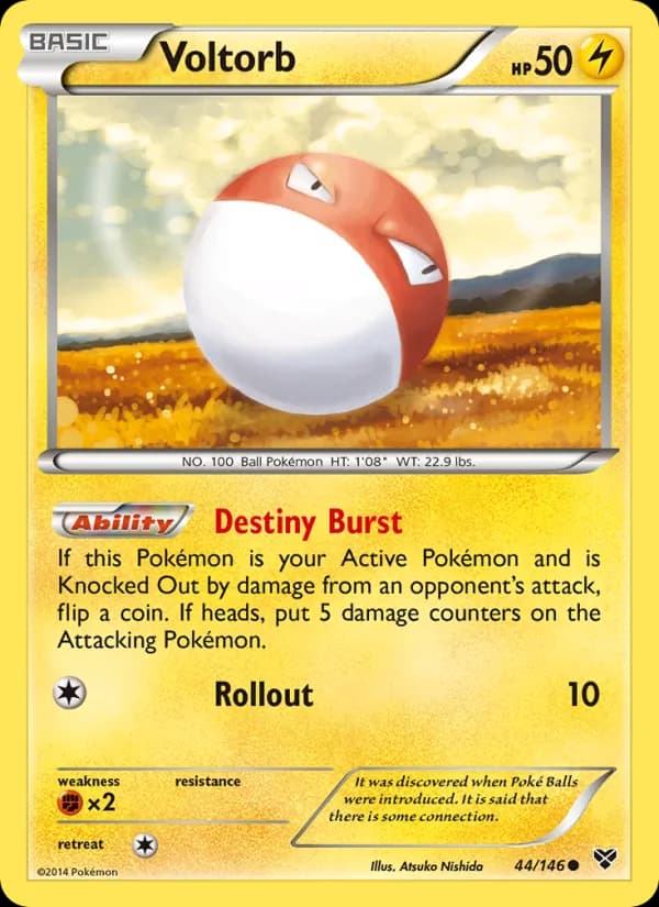 Voltorb 44/146, XY