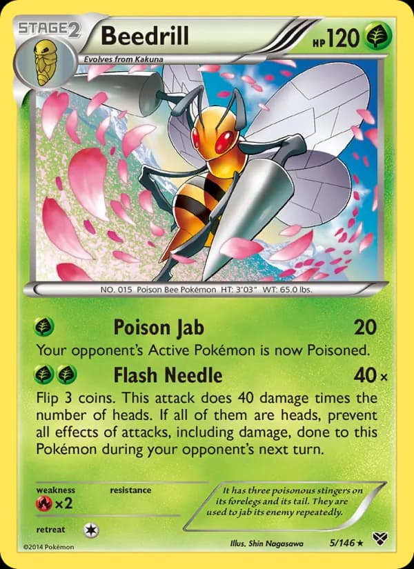 Beedrill 5/146, XY