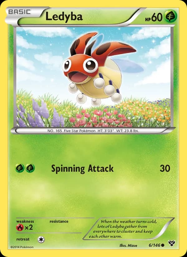 Ledyba 6/146, XY