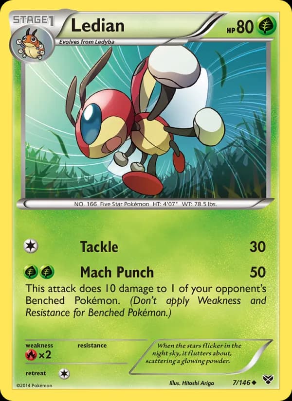 Ledian 7/146, XY