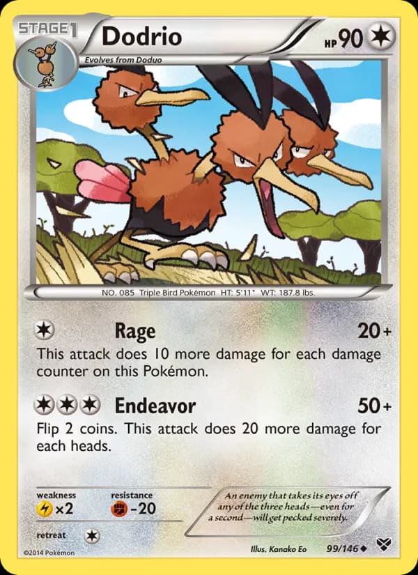 Dodrio 99/146, XY