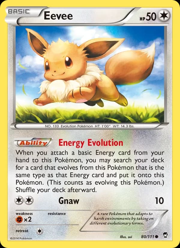Eevee 80/111, Furious Fists