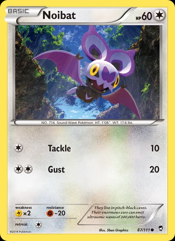 Noibat 87/111, Furious Fists