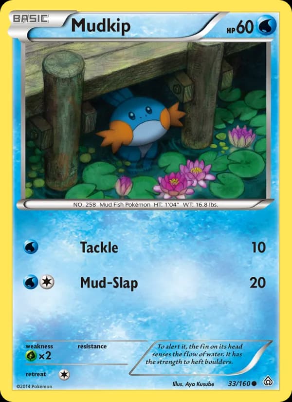 Mudkip 33/160, Primal Clash