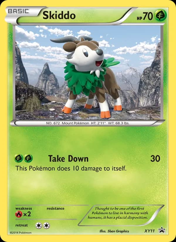 Skiddo XY11/211, XY Black Star Promos