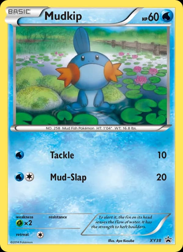 Mudkip XY38/211, XY Black Star Promos