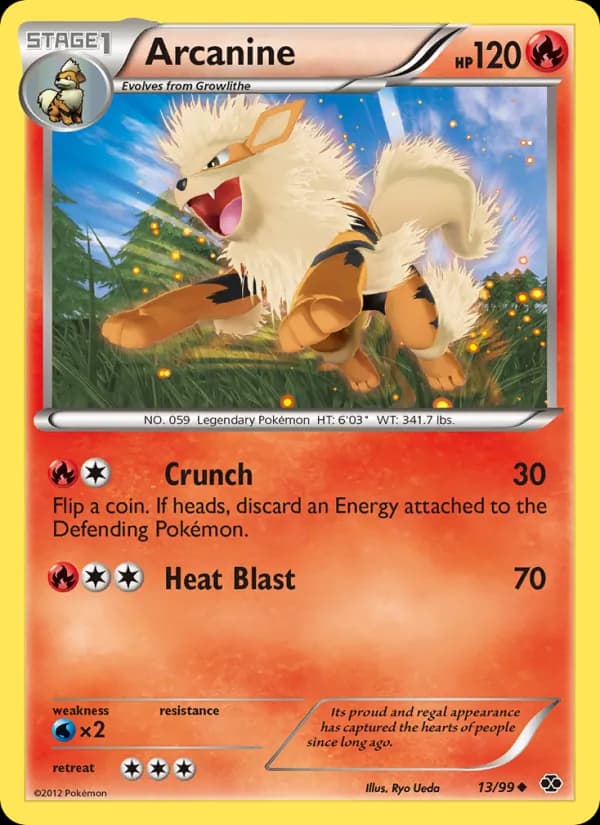 Arcanine 13/99, Next Destinies
