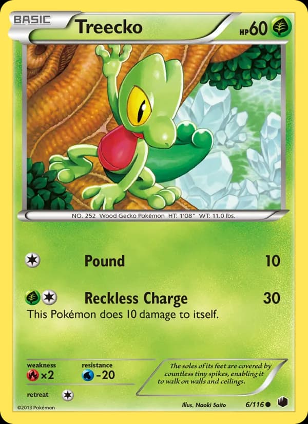 Treecko 6/116, Plasma Freeze