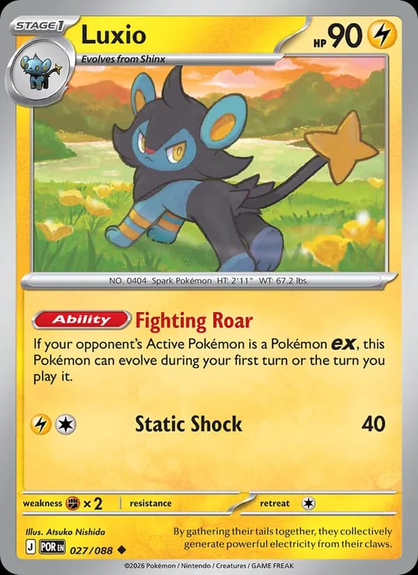 Luxio 027/88, Perfect Order