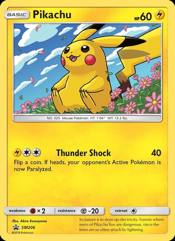 Pikachu SM206/248, SM Black Star Promos