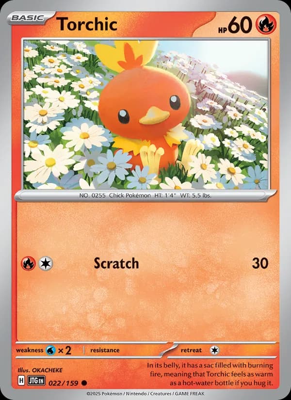 Torchic 022/159, Journey Together