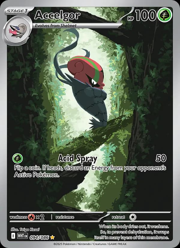 Accelgor 094/86, White Flare