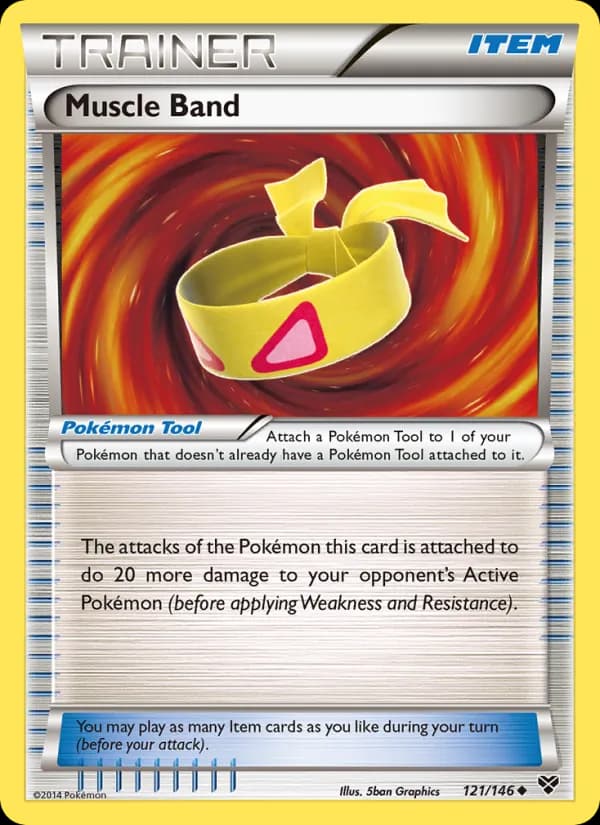 Muscle Band 121/146, XY