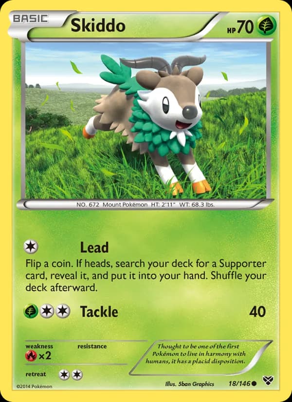 Skiddo 18/146, XY