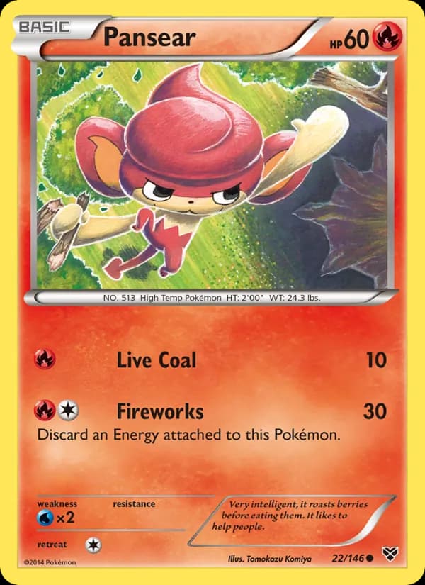 Pansear 22/146, XY