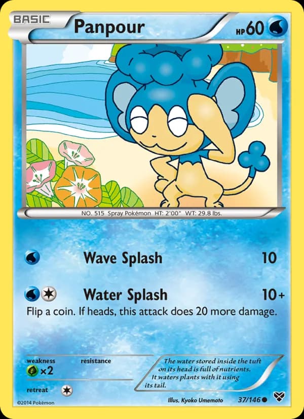 Panpour 37/146, XY