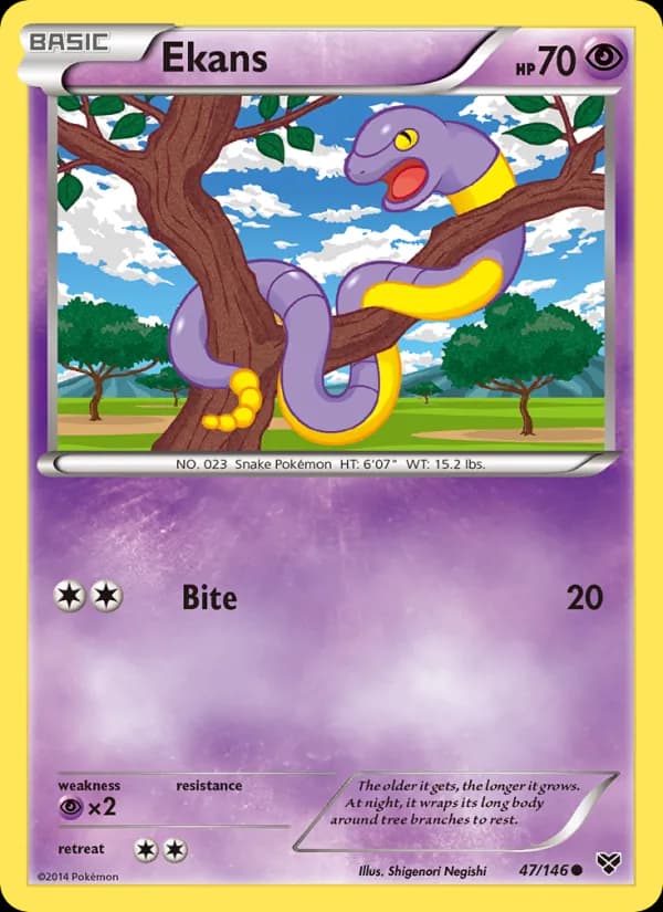 Ekans 47/146, XY