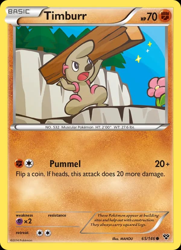 Timburr 65/146, XY
