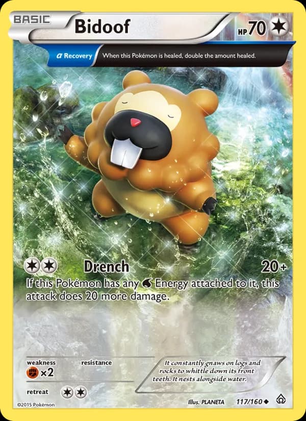 Bidoof 117/160, Primal Clash